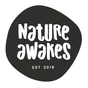 nature awakes